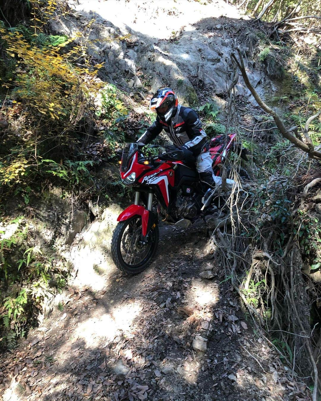 大鶴義丹さんのインスタグラム写真 - (大鶴義丹Instagram)「ファイト1発！  . . . #crf1100L #africatwin #アフリカツイン #Titaniumexhaust #ケイファクトリー #kfactory #worldafricatwinriders  #worldafricatwinriderswashere  #worldafricatwin  #worldafricatwinlovers #zeta #dfg」1月4日 21時41分 - gitan.ohtsuru