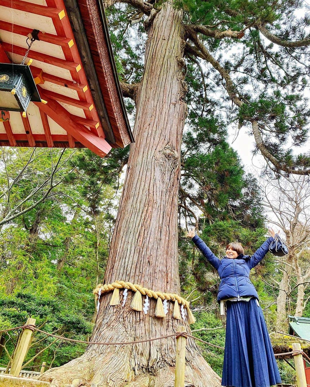 ERICAのインスタグラム：「【あけおめ】﻿ ﻿ あけましておめでとうございます⛩🌅🎍﻿ ﻿ 三ヶ日が終わり今日からお仕事でした〜☺️﻿ ﻿ 年末年始は1年ぶりの実家。﻿ ﻿ とはいえ今回はホテルを取りましたが😊(Go to停止になったから急遽安いとこを取り直した)﻿ ﻿ 新幹線がいま半額キャンペーン中で、めちゃくちゃ安いのにガラガラー🙄﻿ ﻿ そして載せたい写真もかなり溜まってきた！😆﻿ ﻿ 写真は塩釜神社の御神木と🌳ちなみに正月になる前のやつ😆﻿ ﻿ あとは青葉城跡と護国神社とヒカペ✨﻿ ﻿ ﻿ 今年もどうぞよろしくお願いします✨✨✨﻿ ﻿ ﻿ #あけおめ #あけましておめでとう #御神木 #塩釜神社 #神社 #参拝 #お参り #宮城 #塩釜 #平和 #実家 #テンションあがる #休日 #休日の過ごし方 #旅人 #旅 #年末年始 #旅行 #旅スタグラム #旅行好きな人と繋がりたい #旅好きな人と繋がりたい #旅行好き女子 #宮城旅行 #東京女子部 #ハヤリタビ #タビジョ #仙台 #冬 #雪 #青葉城」