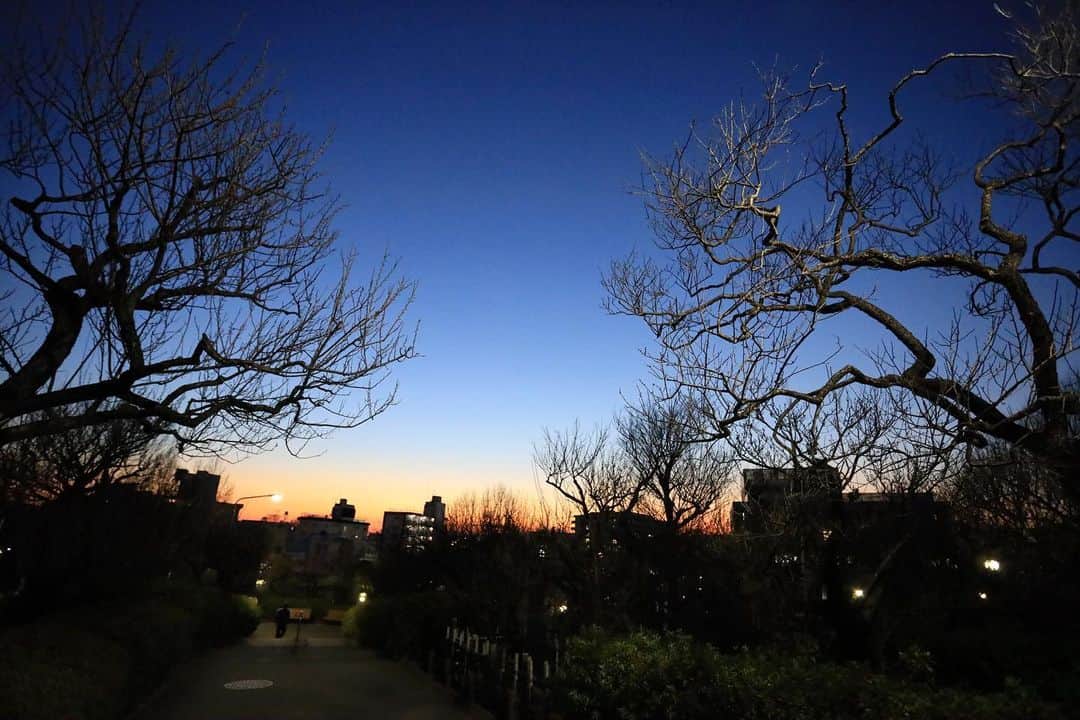 岡峰光舟のインスタグラム：「日が暮れてからが綺麗だった🌇」