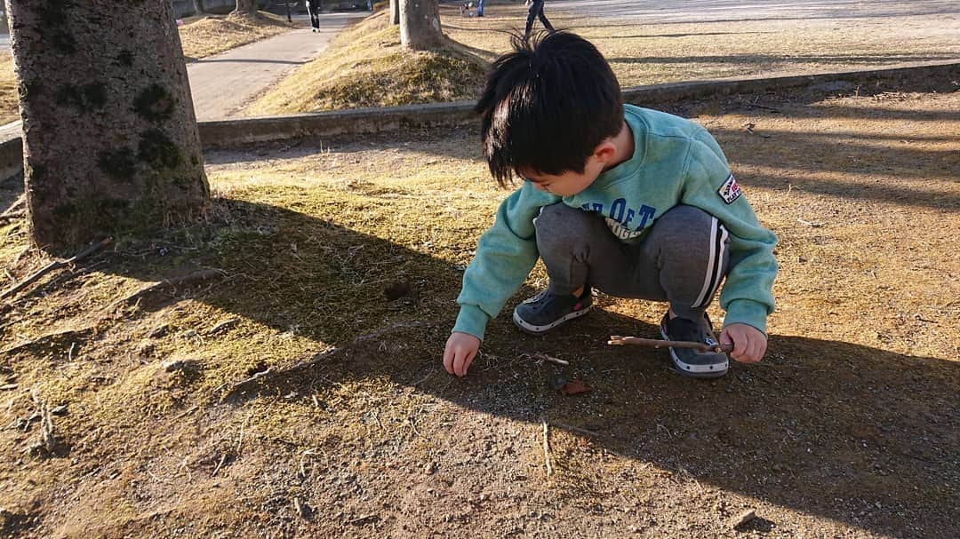 桜花さんのインスタグラム写真 - (桜花Instagram)「友達の息子どのが  地面にペン立てを作ってくれました🍀🍀🍀  使う度に ここに来なくてはならないので  持久力アップが期待できますぞ＼(^^)／笑  #ペン立て  #自然 #１、２本入る」1月4日 14時01分 - mountainohka
