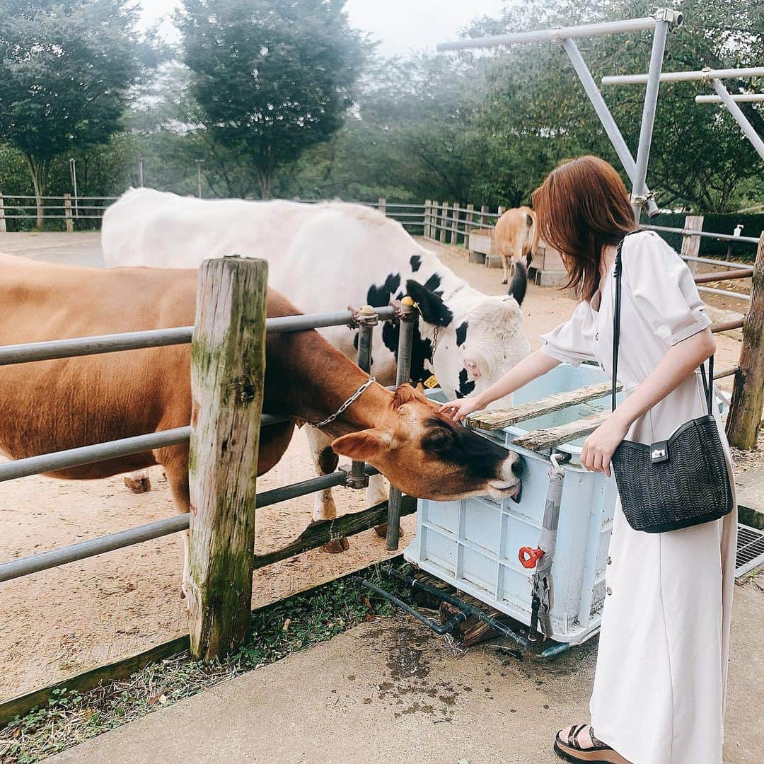 益田アンナさんのインスタグラム写真 - (益田アンナInstagram)「🐮🐮🐮  #丑年」1月4日 14時08分 - anna_masuda