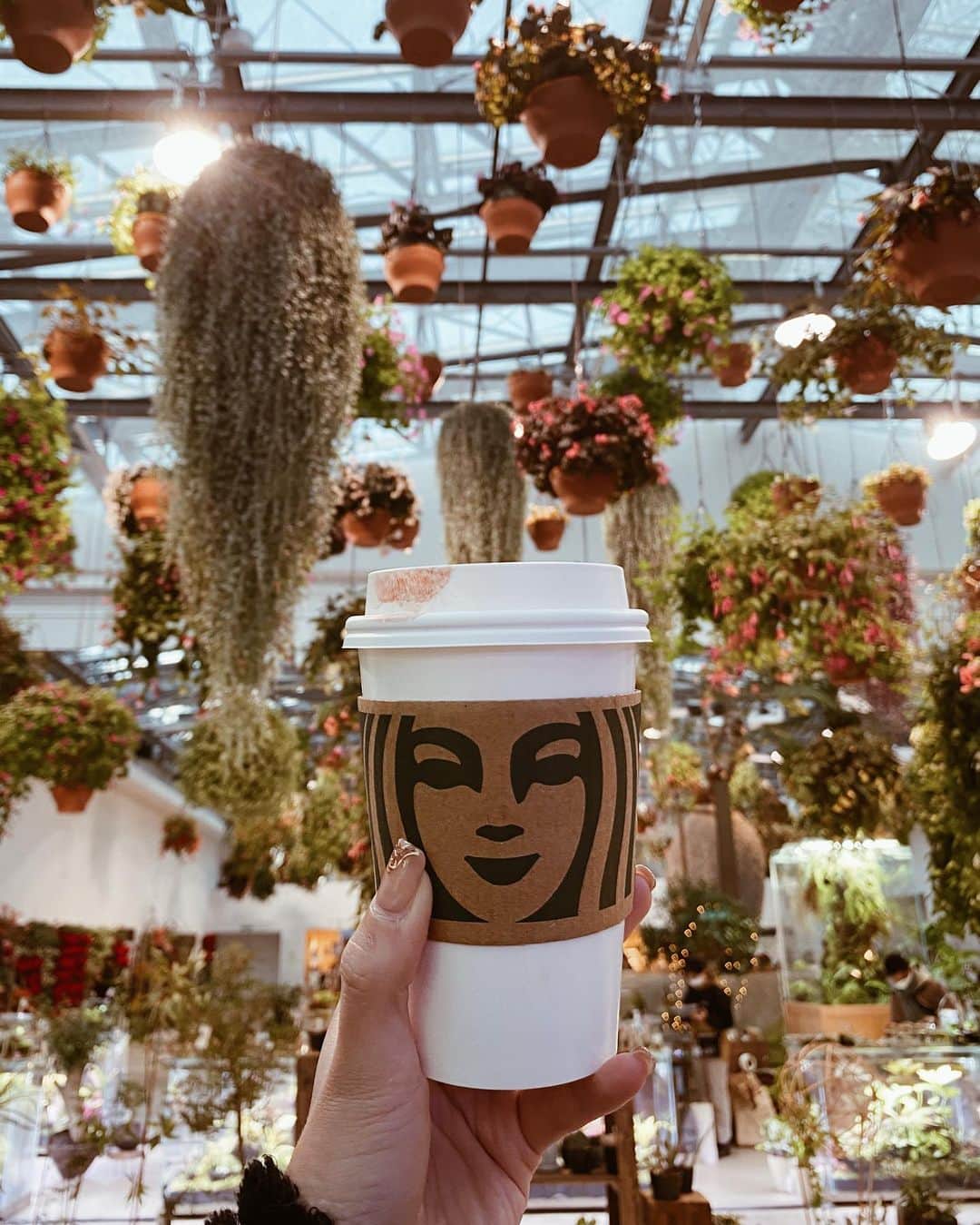 孫きょうさんのインスタグラム写真 - (孫きょうInstagram)「珍しい植物園×スタバのコラボ🪴☕️  よみうりランドに出来た新施設のHANABIYORIにあるスタバだよ🌼外は日本庭園で、店内は植物園になっていて可愛すぎる🌿  2月28日までHANAあかりというイベントが開催中で、 夜になるとスタバの奥のスペースで花と融合したプロジェクションマッピングもやっていて綺麗だった✨  外の花竹小路には約1,000本の竹灯籠や、聖門のライトアップが美しかったなぁ🎋  コロナ対策も徹底されていたし、よみうりランドに入らずHANABIYORIだけの入場も出来るよ！  @hanabiyori8717 @yomiuriland  #よみうりランド #よみラン #HANABIYORI #ハナビヨリ #HANAあかり #ハナあかり #スタバ #スターバックス #starbucks #カフェ巡り #花のある暮らし #植物園 #フラワーアレンジメント #子連れよみうりランド #子連れよみラン #子連れ旅行」1月4日 14時15分 - sonkyou1013