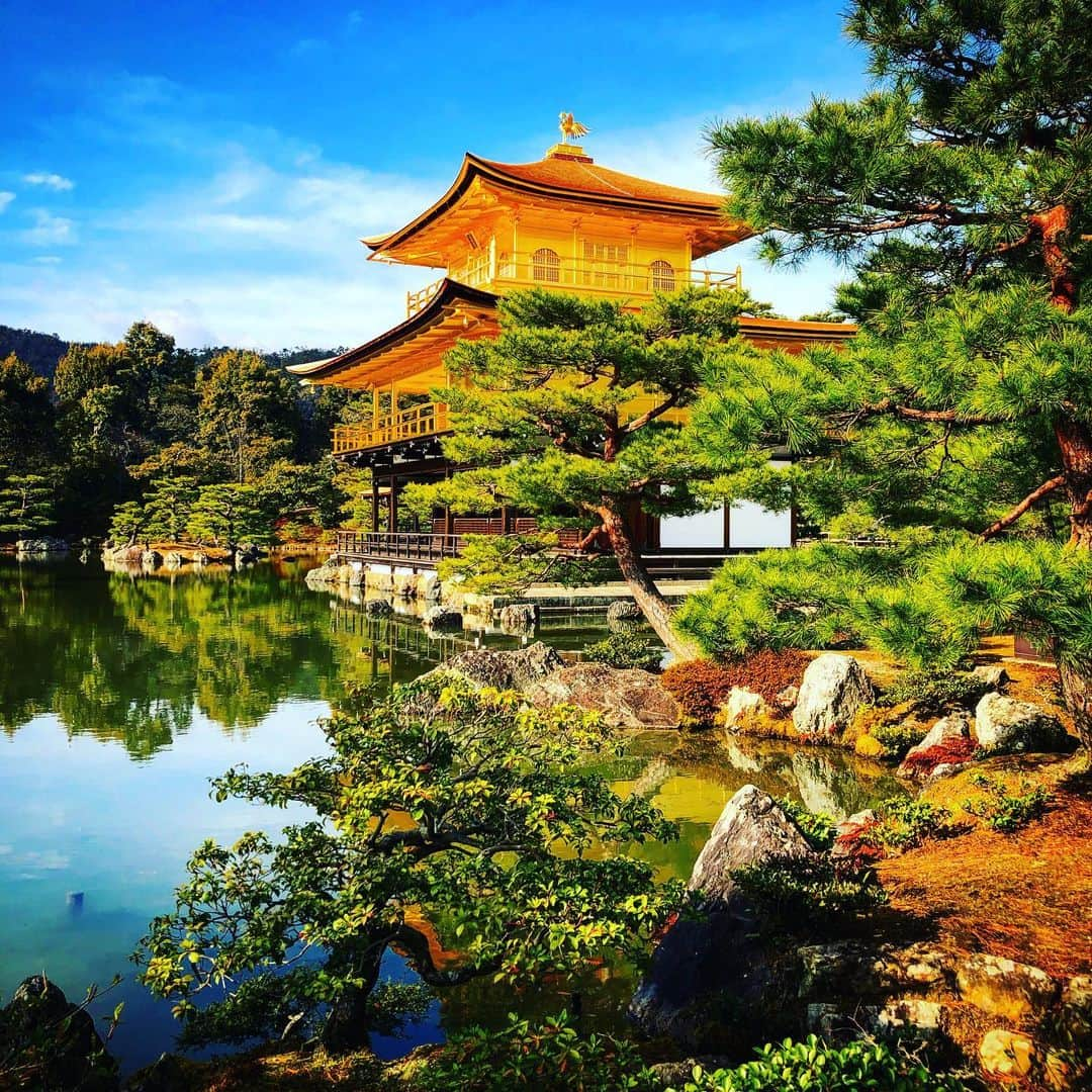 伊藤達彦のインスタグラム：「京都⛩ #神社巡り #1年記念日 #プレゼントありがとう #今年もよろしくお願いします🐮」