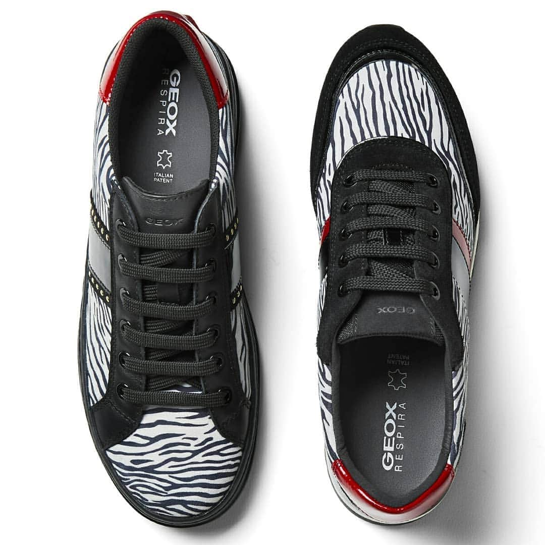 のインスタグラム：「Breathe the new ANIMALIER COLLECTION: discover our brand new sneakers in zebra pattern with ruby red highlights to give a modern twist to your winter outfits!」