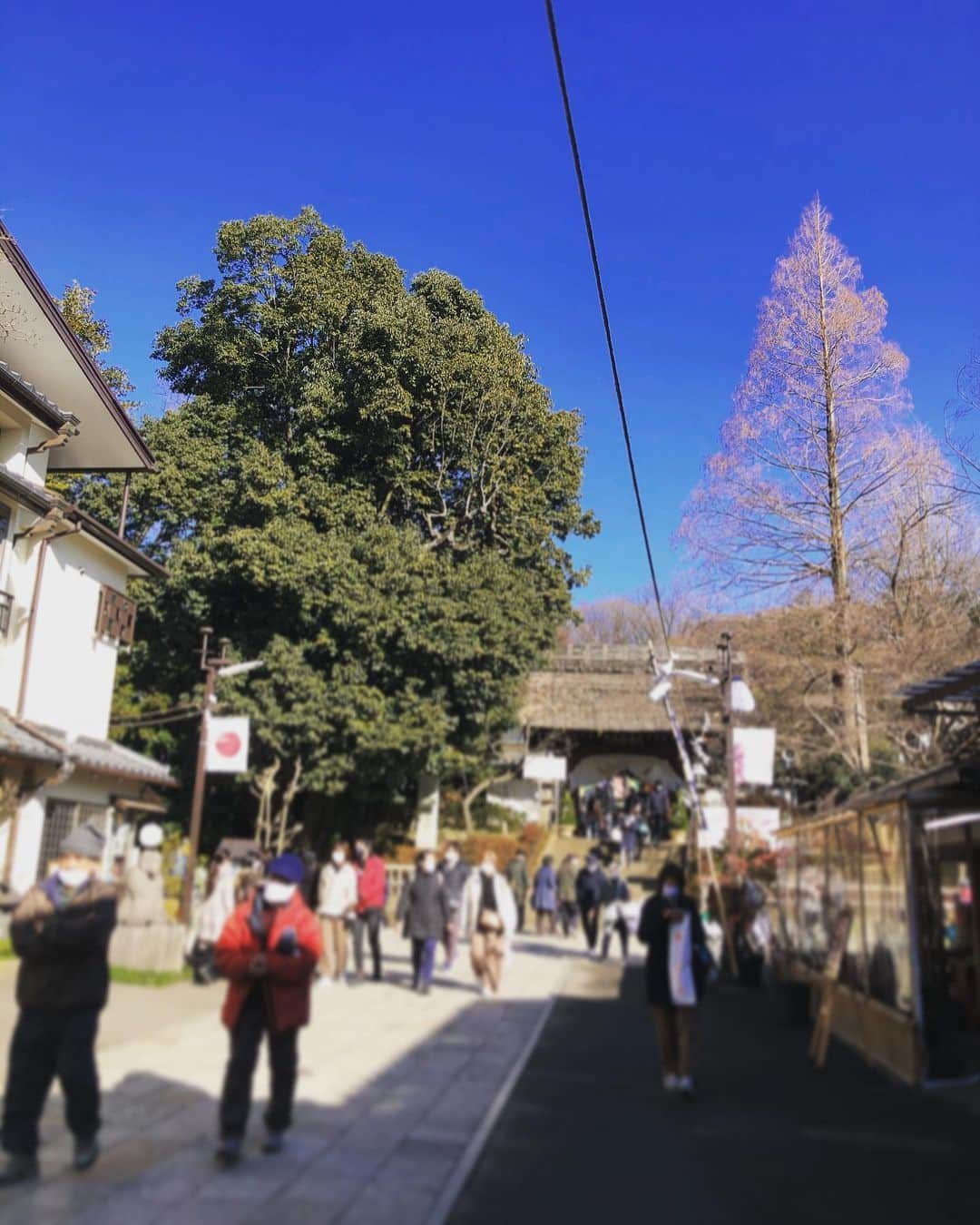 佐々木海のインスタグラム：「やっと休みになったので、初詣に#深大寺 に行ってきました❗️ ずっと来たかった#鬼太郎茶屋 にも寄れたし、目玉親父焼団子も食べれた🍡 ただこの団子は一人で食べるもんじゃないな。 量多いし、人ときゃっきゃっ言いながら食べるもんです😂 そして深大寺蕎麦〜♪ 美味しかった♪ 車じゃなかったらそばがきと日本酒だったな〜🍶 深大寺を満喫して、帰りは車の鍵用に昔からよく似てると言われてた猫娘の根付けを買いました🐈 あ、似てるのは最近のポップな顔の猫娘じゃなくて昔の憎たらしい顔の方の猫娘です。」