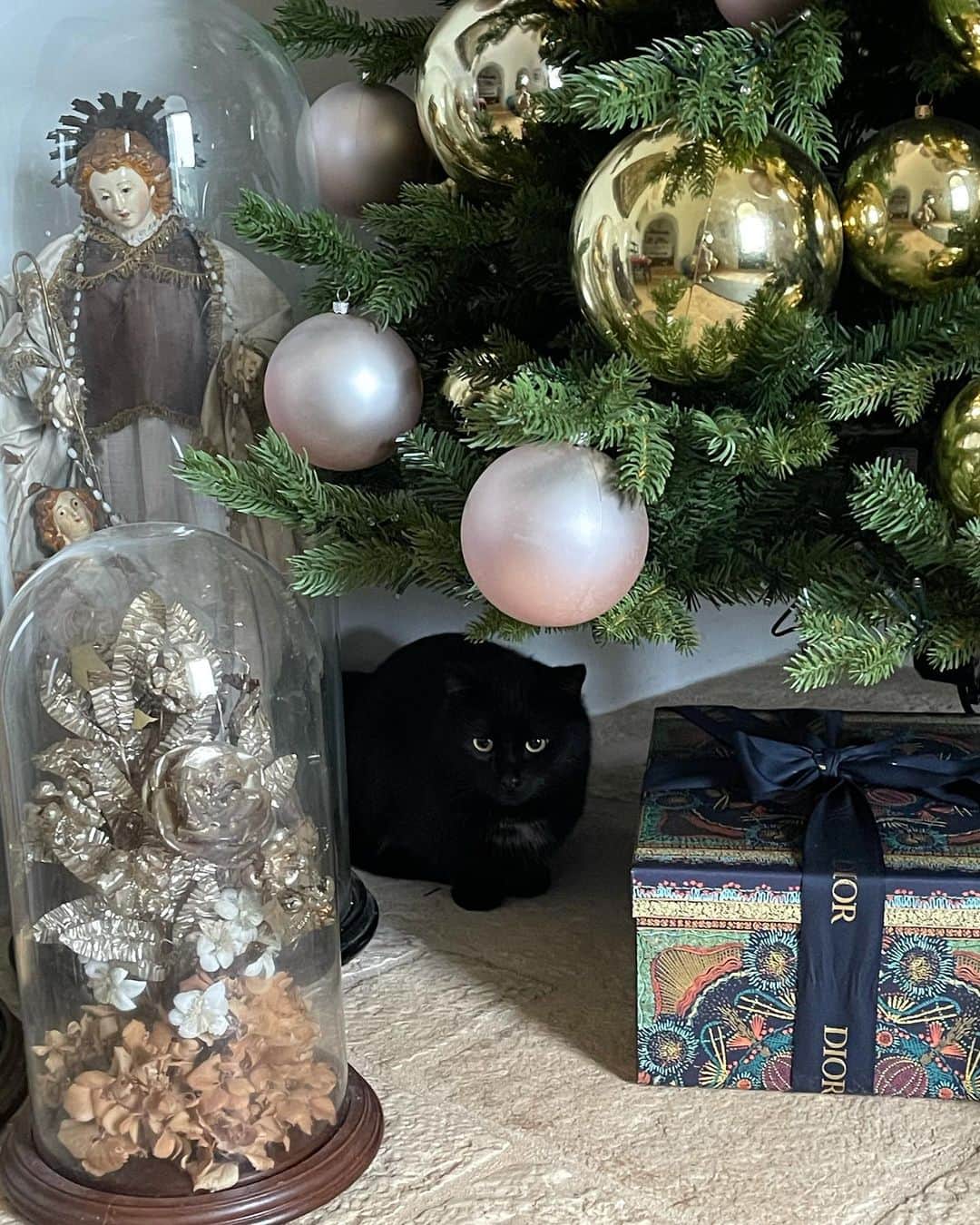 アンナ・デッロ・ルッソのインスタグラム：「Grateful for spending my holidays in lockdown 🎄🎅🏻🎁with my love&family ❤️❤️❤️」