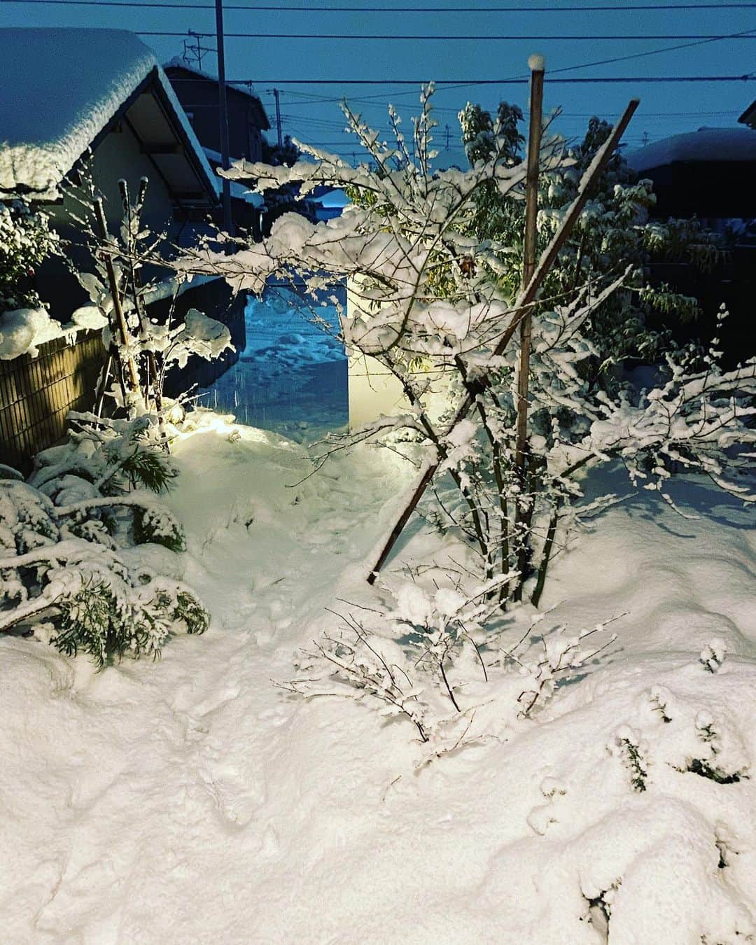 マッスル坂井さんのインスタグラム写真 - (マッスル坂井Instagram)「ちゃんと神社みたいにビシッと雪かきできる男になりたいです。」1月4日 16時34分 - super_sasadango_machine