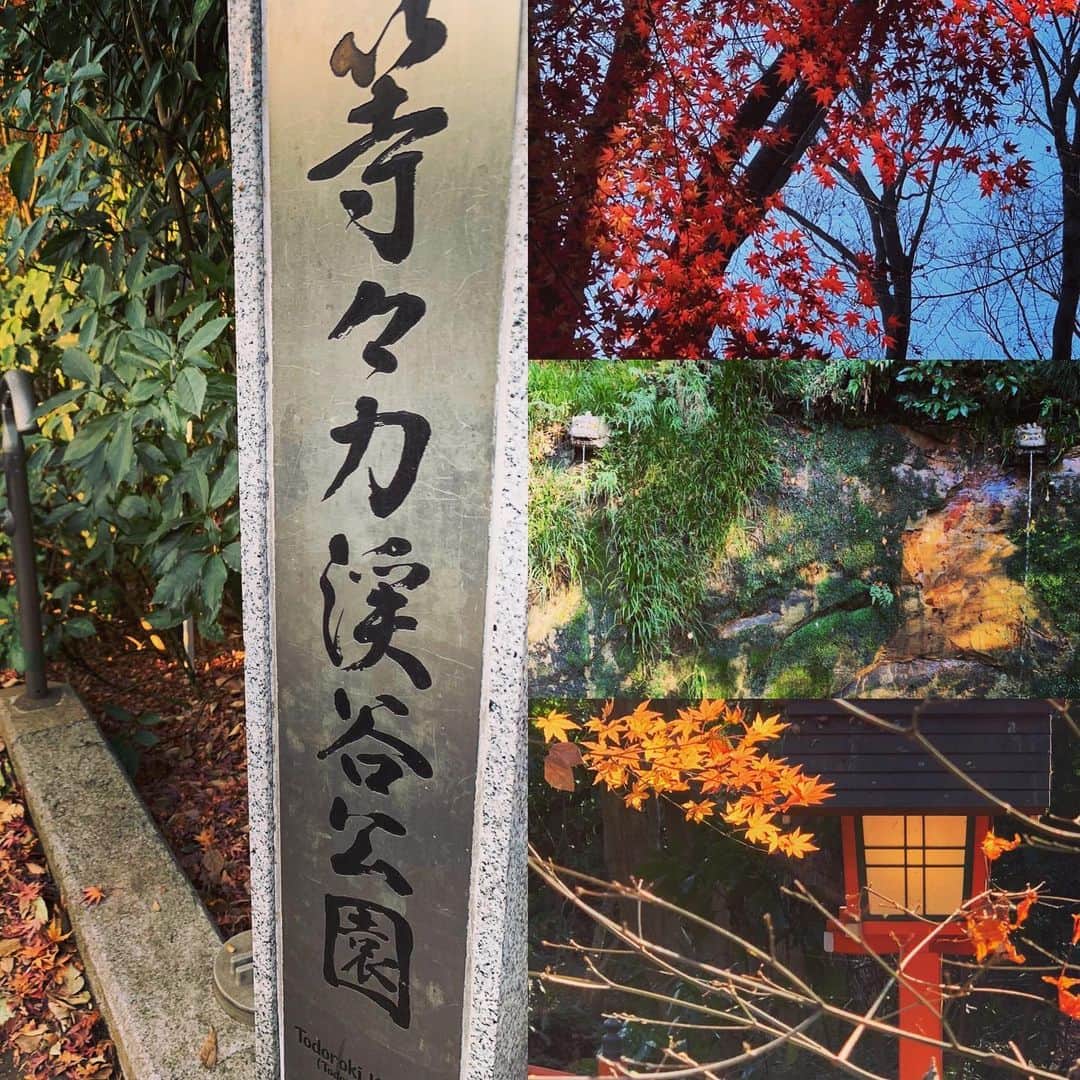 有森裕子さんのインスタグラム写真 - (有森裕子Instagram)「ノンストップウォーキング🚶‍♀️🚶‍♀️🚶‍♀️ 今日の途中風景…」1月4日 22時31分 - arimori.yuko33