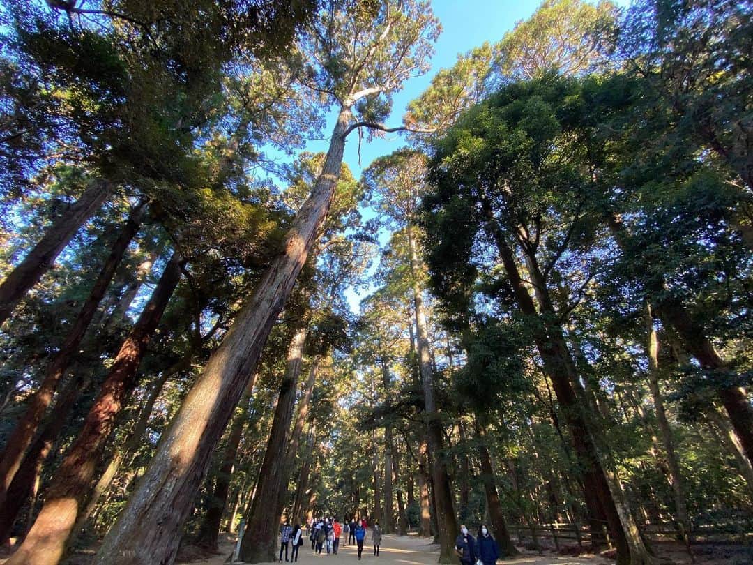 のインスタグラム：「今日は初詣で鹿島神宮へ⛩  海に寄ってから、たまたま見つけたジェラート店に寄り道💫最高に美味しかった🌟🌟🌟また次回行く時も必ず行きたい😌  良い1日になりました✨ 新しい2021年が良い年になりますように！ #鹿島神宮 #鹿島 #海岸線 #初詣 #祈願 #2020年に感謝 #2021年が良い年になりますように #ジェラート #運がいい日」