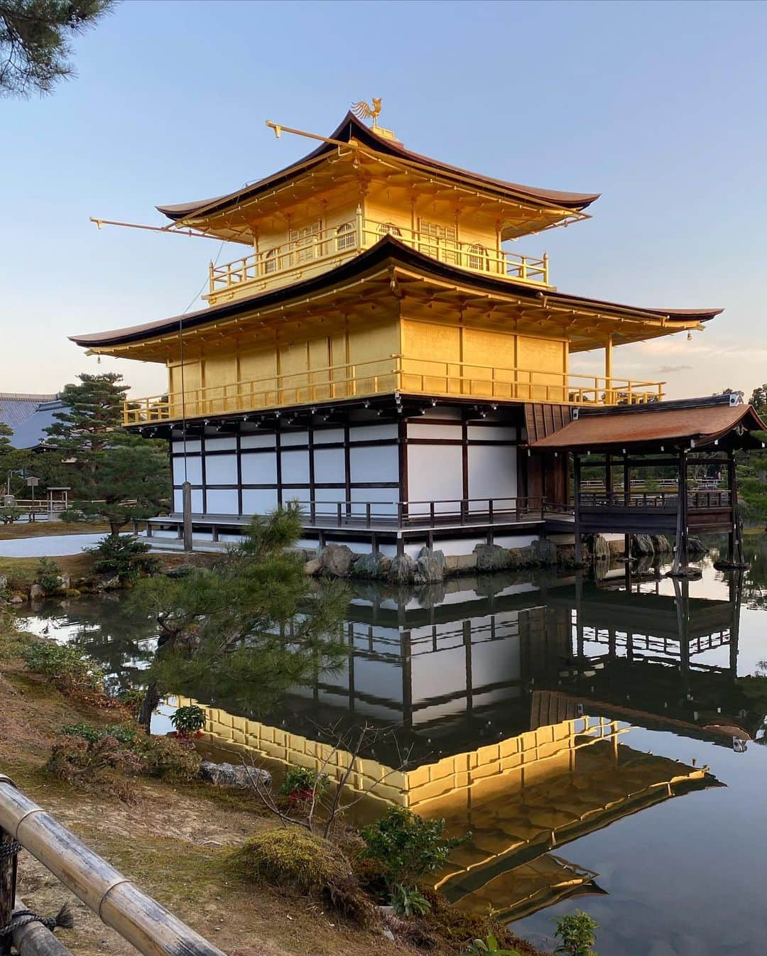 酒井麻里（Juri）さんのインスタグラム写真 - (酒井麻里（Juri）Instagram)「📍金閣寺  美しい。✨✨✨  #京都 #金閣寺」1月4日 17時51分 - jurixoxoxo