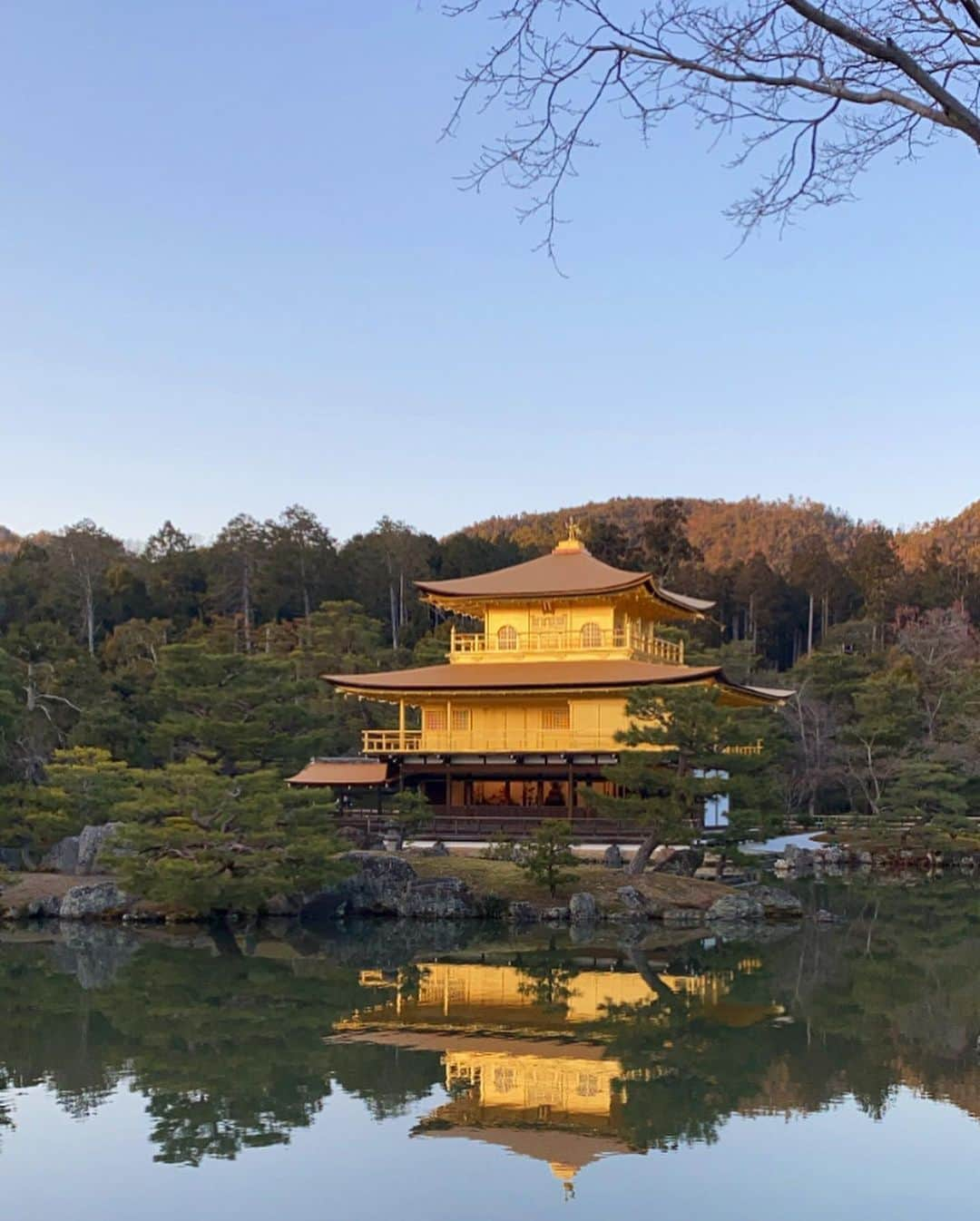 酒井麻里（Juri）さんのインスタグラム写真 - (酒井麻里（Juri）Instagram)「📍金閣寺  美しい。✨✨✨  #京都 #金閣寺」1月4日 17時51分 - jurixoxoxo