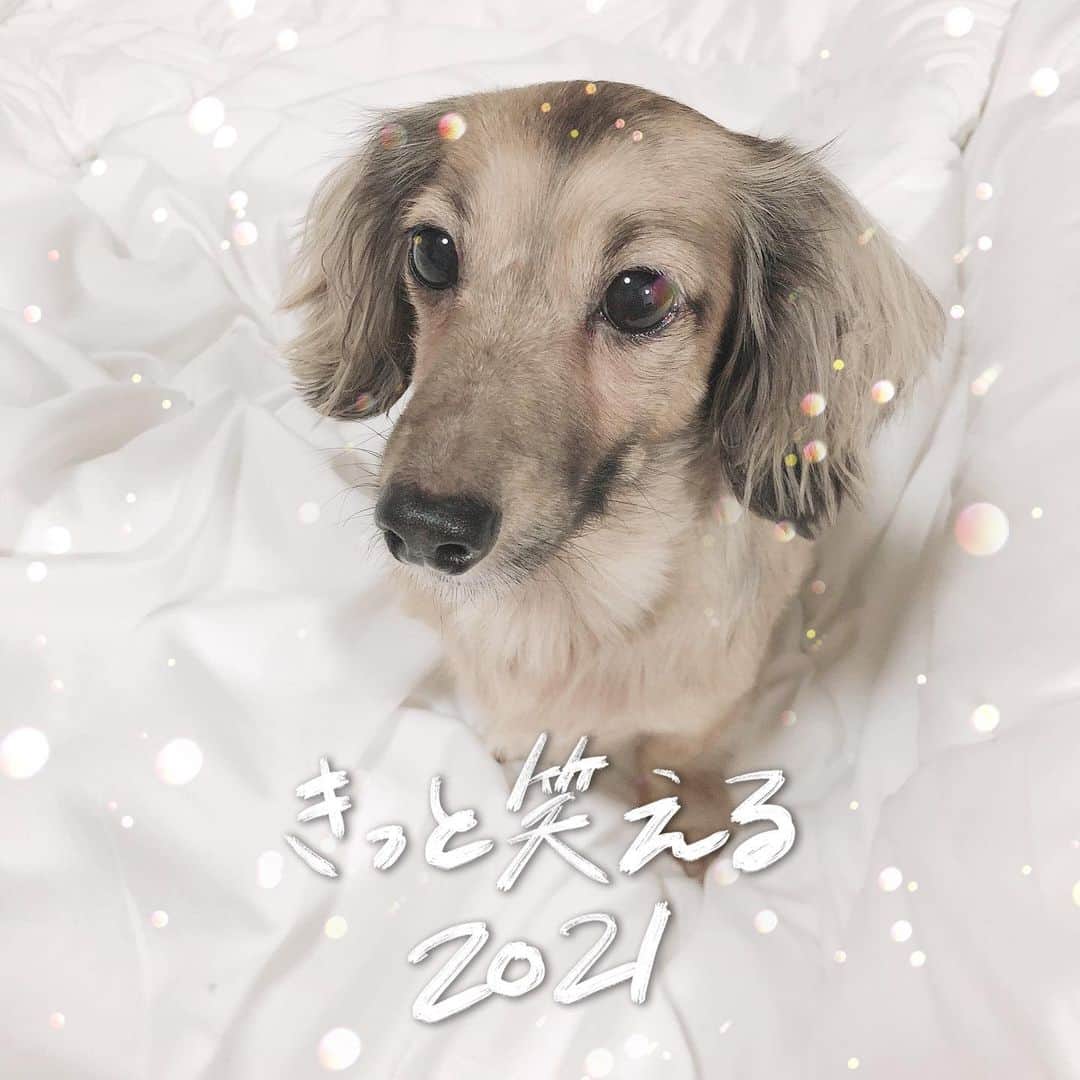 藤川沙弥のインスタグラム：「🐮🤍 今年もよろしくお願い致します♡ˎˊ˗ 楽しい1年にしよう¨̮ ₊⁺」