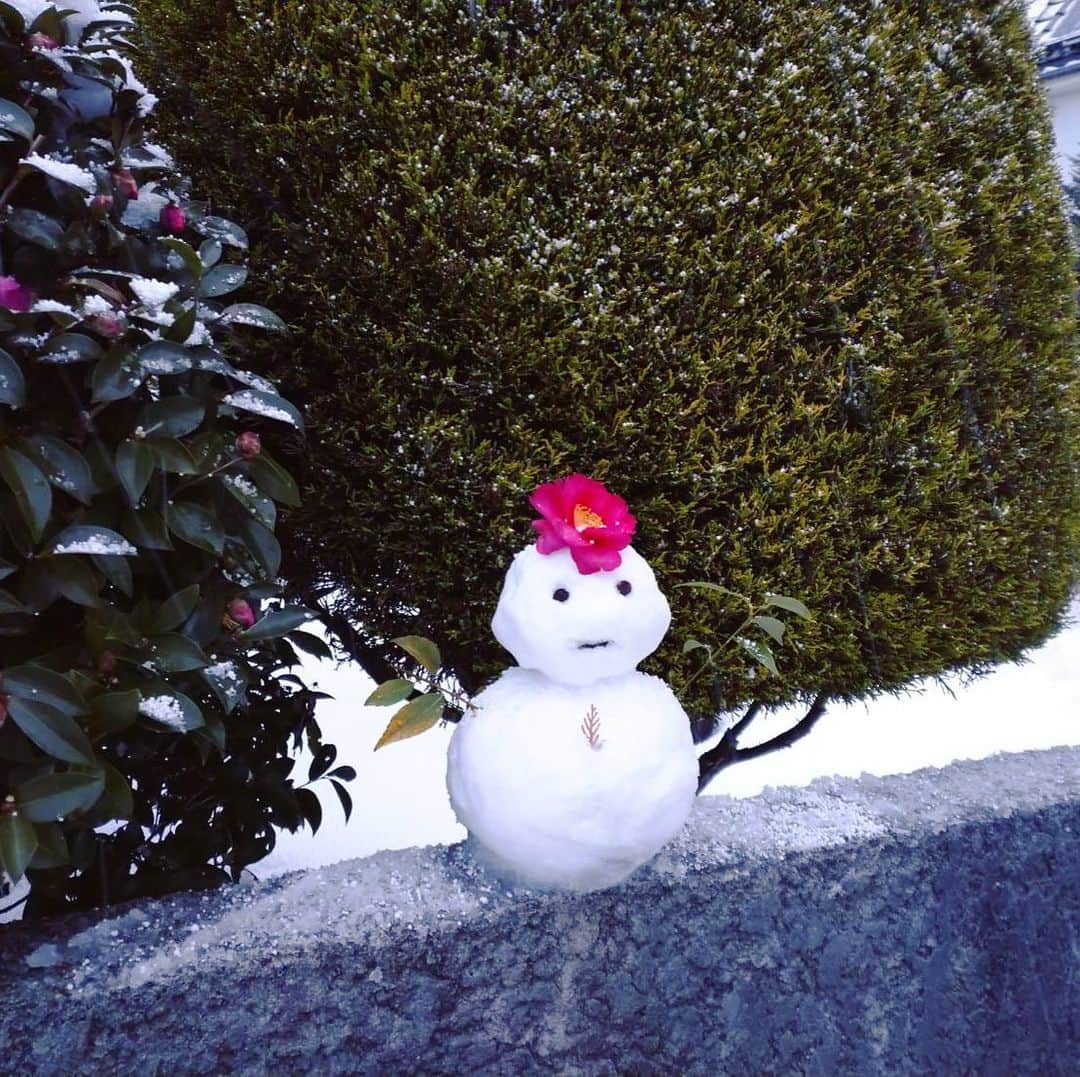 杏沙子さんのインスタグラム写真 - (杏沙子Instagram)「ㅤㅤㅤㅤㅤㅤㅤㅤㅤㅤㅤㅤㅤ ㅤㅤㅤㅤㅤㅤㅤㅤㅤㅤㅤㅤㅤ 地元鳥取のお父さんから送られてきた写真☃️ ㅤㅤㅤㅤㅤㅤㅤㅤㅤㅤㅤㅤㅤ 早く帰りたいな。 元気で待っててね。 雪、気をつけてね。 ㅤㅤㅤㅤㅤㅤㅤㅤㅤㅤㅤㅤㅤ」1月4日 18時26分 - asako.ssw