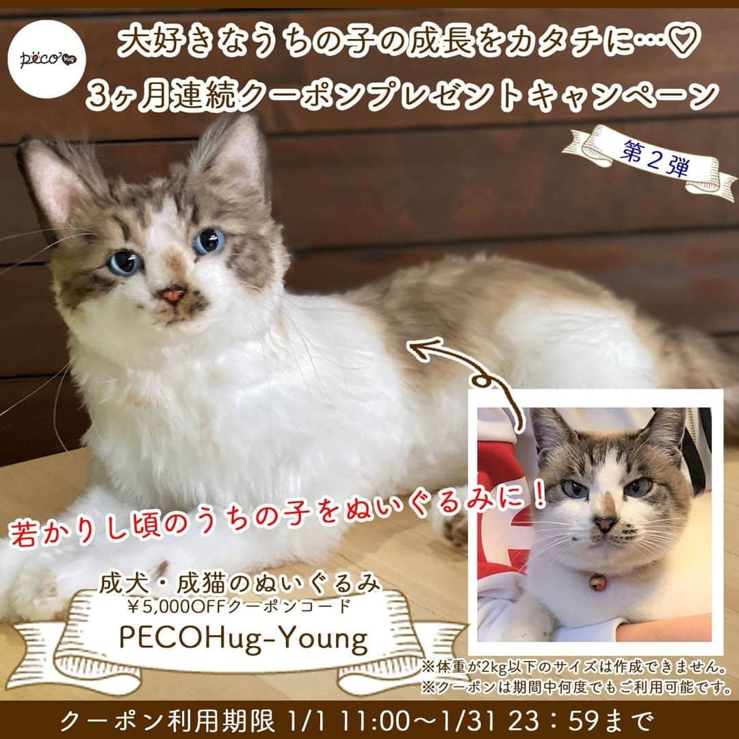 PECO Hugのインスタグラム：「大好きな"うちの子"の成長をぬいぐるみとして カタチにするチャンス！  PECO Hugはお写真から愛犬・愛猫を表現したぬいぐるみを作成するサービスであることから、みなさまにもっと"うちの子の思い出"に寄り添っていただけるよう "うちの子"の成長に合わせたお得なクーポンを 3ヶ月連続プレゼントするキャンペーンを開催いたします。  🐶キャンペーン概要😸 以下の期間中、愛犬・愛猫の成長時期に合わせてご利用いただけるクーポンコードをプレゼントいたします。  ※体重が2kg以下のワンちゃんネコちゃんは作成ができません。実際に2kg以下のワンちゃんネコちゃんをご希望の場合は、最低体重である2kgとして登録させていただくことをご了承くださいませ。  👱‍♂️第二弾👱‍♂️ 【成犬・成猫のぬいぐるみクーポン】  🔖クーポン配布・利用期間 🔖 2021年1月1日（金）11:00～2021年1月31日（日）23:59まで  📧クーポンコード📧 PECOHug-Young  👇今後予定しているプレゼント👇  👵第三弾👵 【シニア犬・シニア猫のぬいぐるみクーポン】  🔖クーポン配布・利用期間 🔖 2021年2月1日（月）11:00～2021年2月28日（日）23:59まで  📧クーポンコード📧 ～Coming Soon!～  【クーポンコードのご利用方法】 ①商品をカートに入れ、レジに進みます。 ②ご注文内容確認画面で、お手元の各クーポンコードを入力します。 ③注文確定画面でクーポンが適用されたことをご確認の上、注文を確定するボタンをクリックします。  ❗注意事項❗ ※ぬいぐるみ商品のため、剥製のような形で全ての特徴を表現できるわけではございません。 ※ぬいぐるみのサイズは指定できません。ご登録いただく体重によってある程度のサイズが決まっておりますが、イメージよりも大きく作成される場合がございます。 （ぬいぐるみのサイズ平均：30cm～45cm） ※1注文で1種類のクーポンのみご利用いただけます。 ※何度でも使用することができます。 ※ご注文後のクーポンご利用はできません。  #pecohug #ぬいぐるみ #ペットグッズ #ペットロス #クーポンプレゼント #犬 #猫 #犬のいる暮らし #猫のいる暮らし #犬好きな人と繋がりたい #猫好きさんと繋がりたい」