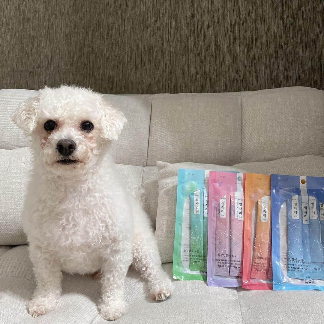 ユン・ダヨンのインスタグラム：「#갈비의임보일기 #제품제공 귀여운 갈비 간식 도착 💚💜🧡💙 우리 뚱때지 다이어트하자 @myvef.official」