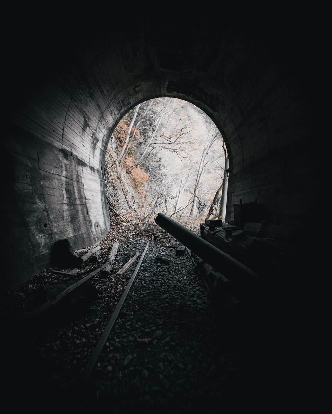 _msy_tさんのインスタグラム写真 - (_msy_tInstagram)「Abandoned Ogouchi railway trace. . 小河内線の廃線跡、水根トンネル内部から🚇 少し先にいくと、線路の真ん中に木が生えていたりと、なんだか歴史を感じました。 . . . #visitjapanjp #tokyocameraclub #sorakataphoto #retrip_nippon #art_of_japan_ #daily_photo_jpn #wu_japan #japan_daytime_view #rakutentravel #jalan_travel #lovers_nippon #bestjapanpics  #whim_life #otonatabi_japan #photo_travelers #tunnel #beautifuleview #landscape #railway #風景 #風景写真 #風景写真部 #トンネル #廃線 #奥多摩」1月4日 19時48分 - masaya_takigawa