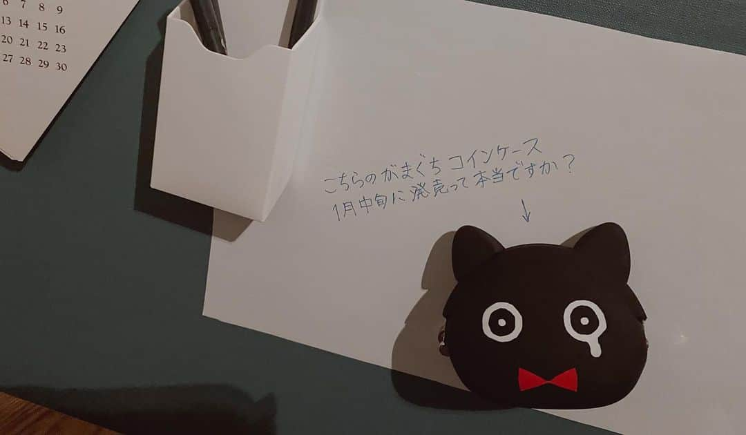 雫さんのインスタグラム写真 - (雫Instagram)「デスク周りがさらにいい感じになってしまった…………」1月4日 19時54分 - plkshizuku