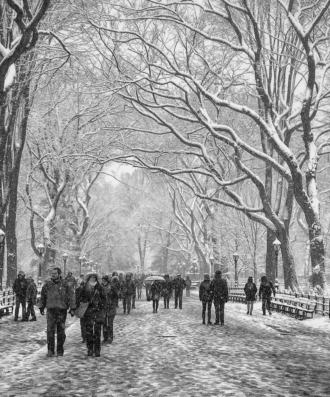 The Cool Hunterのインスタグラム：「Central Park, NYC @nyroamer」