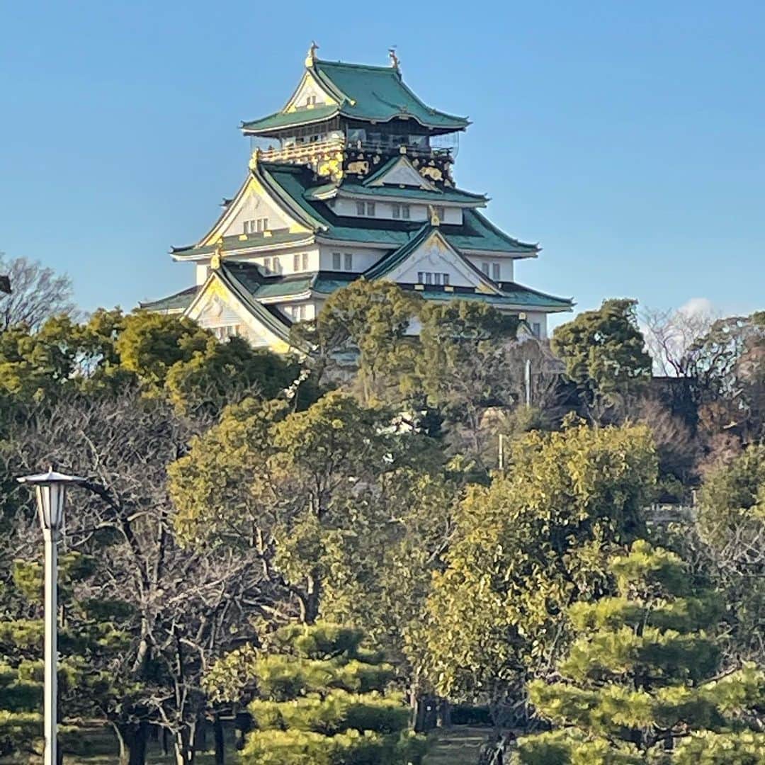 せいやさんのインスタグラム写真 - (せいやInstagram)「‪大阪城を久しぶりに見た‬  ‪争いに勝ち殿様になってこの城を1人で所有するよりも‬ ‪どうしたらより多くの人がこの城で平等に住めるのかを考える時代に入っているのではないか‬」1月4日 20時12分 - seiya_shimofuri