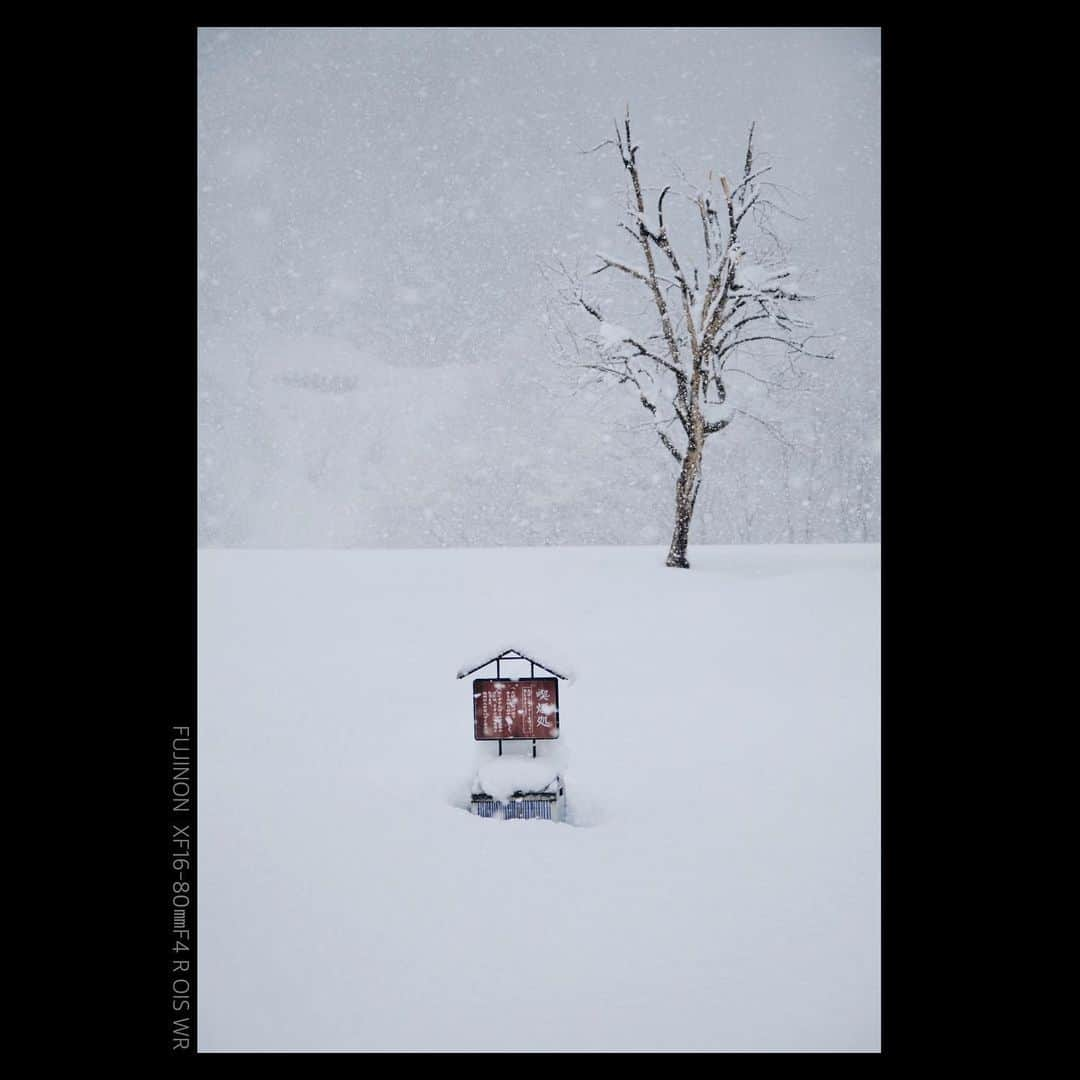 plus_thinkingさんのインスタグラム写真 - (plus_thinkingInstagram)「過酷な喫煙所 . camera: X-T3 lens: FUJINON  XF16-80㎜F4 R OIS WR . #beautifuljapan #snapJapan #minimal  #minimalmood  #minimalism  #minimalism_world  #indies_minimal」1月4日 20時25分 - plus_thinking