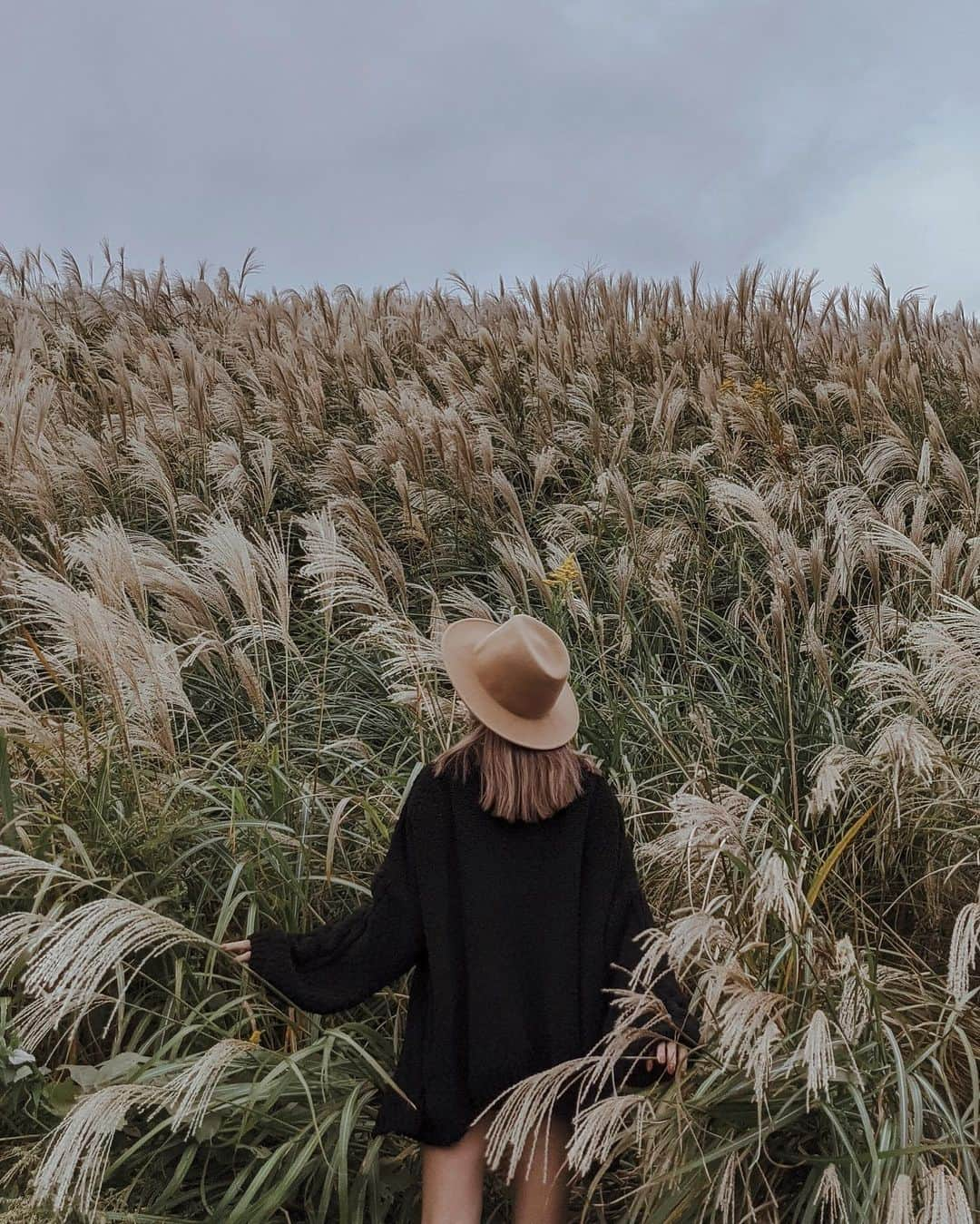 Kanna♡Ivyさんのインスタグラム写真 - (Kanna♡IvyInstagram)「生命力🌾🌾🌾  #susuki #nature #autumn #life #ススキ #花言葉が素敵」1月4日 20時21分 - kkkkkkanna