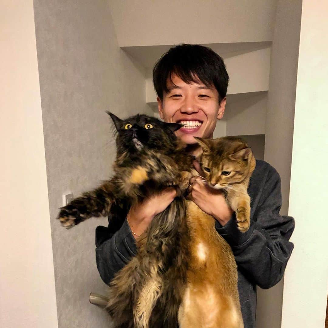 のインスタグラム：「あけましておめでとうございます。 今年もよろしくお願いします！！  #あけおめこと鎧坂」