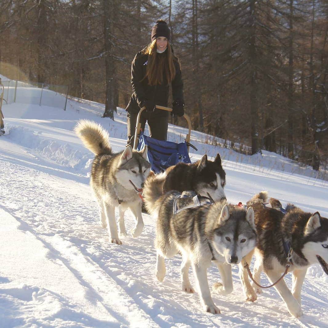 ステファノ・ソレンティーノのインスタグラム：「Le mie principesse come nelle favole! 😍 Grazie @thehuskyexperience per questa esperienza meravigliosa! #sestriere」