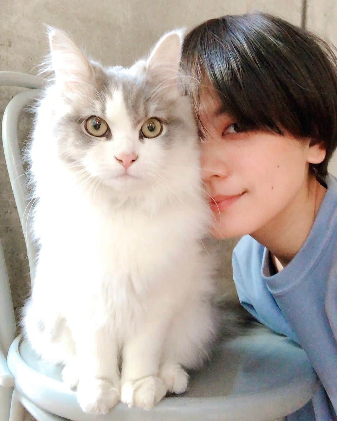 石川瑠利子のインスタグラム：「. . 明けましておめでとうございます🎊🎉🎊 昨年は色々と大変でしたが、まさかの猫を飼い始めたりと初めての経験をたくさんできました☺️💕しっかり親バカになって2021年を迎えた訳ですが、笑 今年は去年出来なかったことを、新しくいろんなことに挑戦していきたいなと思っています🙆🏻‍♀️🙆🏻‍♀️🙆🏻‍♀️ きっと今年もまだまだ大変だと思いますが、負けない心で一緒に頑張っていきましょう🥺❤️ . . #photo #cat #ねこのいる生活 #ねこ #ねこ好き #siberian」