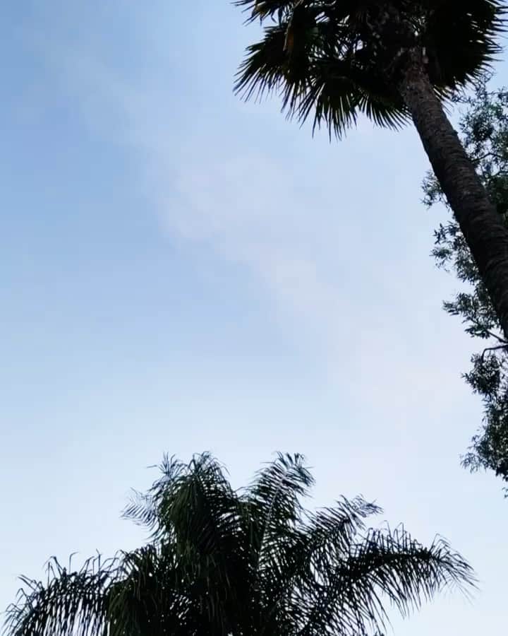 のインスタグラム：「Hey, Everyone. This is not an easy one. We decided to start vlogging for our YouTube channel a couple months ago to share two stories: Renovating a new house and a new pregnancy journey. Sadly, I lost the pregnancy. Timmy and I weren't sure if we still wanted to put this out there. I wasn't sure I wanted to relive the pain. However, this time around, I felt differently about the situation. Last time, I don't think I was ready to have another child, and I had different feelings about the miscarriage. This time, I really connected. I was actually excited and enjoying the pregnancy. I envisioned it all. I’m sad but I’m ok and we will try again. So here’s our story. I also have so much sadness in my heart for anyone that has to go through this or has gone through this. I know though that our community will share, band together and support- cause you always do. We ended up putting the footage into 5 mini episodes and plan to post one a day, today- Friday. Love you guys. link in bio.」