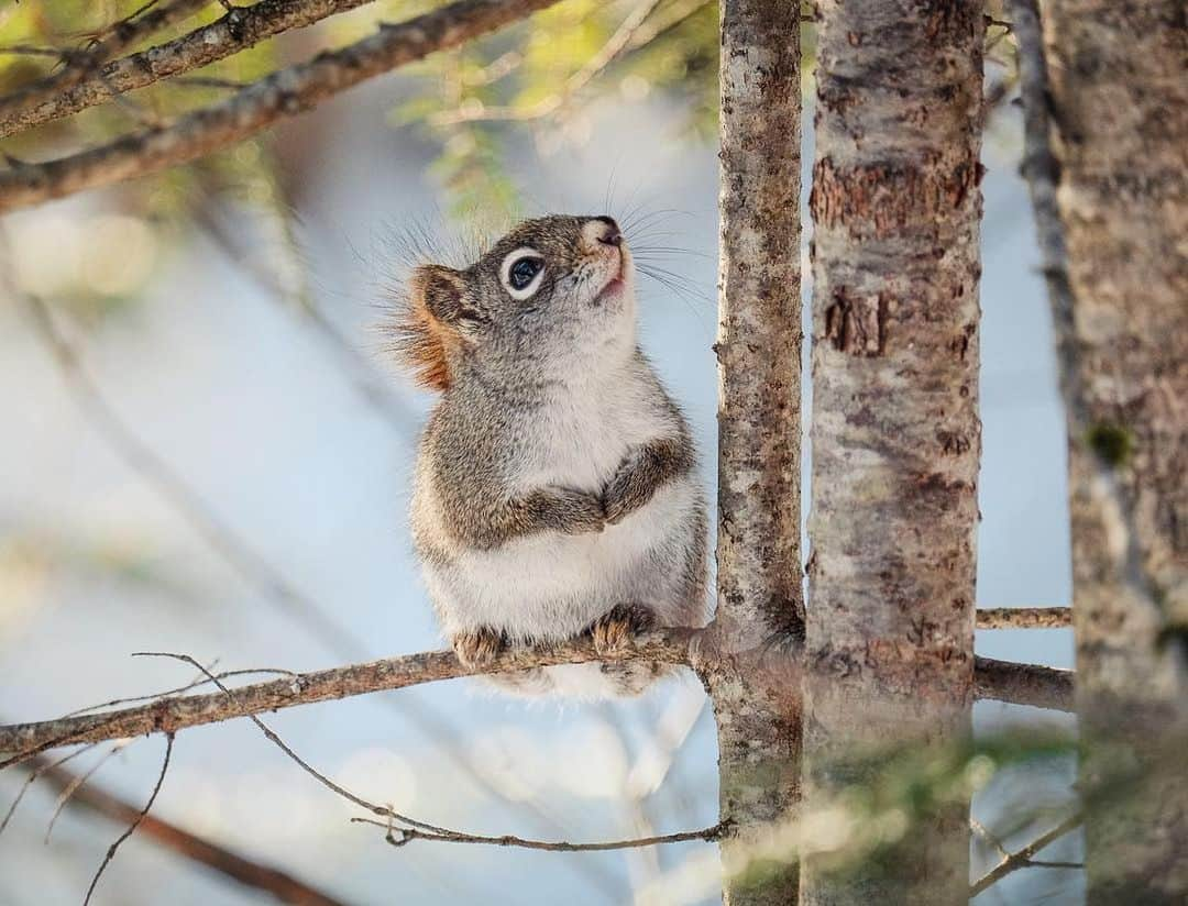 Fujifilm UKさんのインスタグラム写真 - (Fujifilm UKInstagram)「Looking to get featured on our feed this year or for some inspiration? Use #repostmyfujifilm   Image credit: @sandra.angers.b   X-E2 XF55-200mmF3.5-4.8 R LM OIS F4.8, ISO 800, 1/400 sec  #Fujifilm #XSeries」1月4日 22時39分 - fujifilmuk