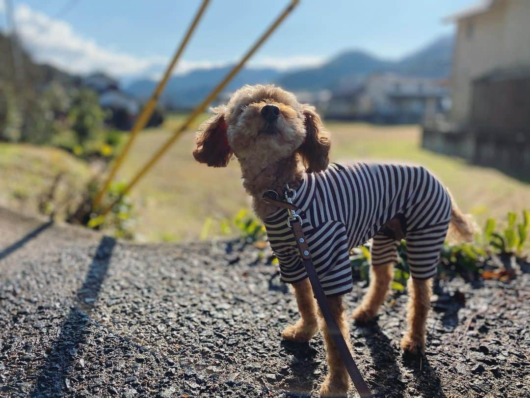 石川龍のインスタグラム