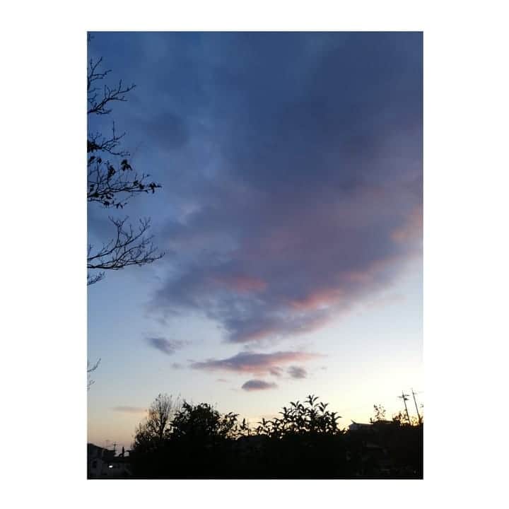 近藤笑菜のインスタグラム：「やわらかい心🌾」