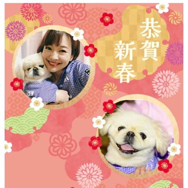 有田優理香のインスタグラム：「2021年もうちの子しか勝たん‼️  #pekinese #ペキニーズ #鼻ぺちゃ　#犬界の藤原竜也　#毎年恒例 #年賀状　#干支スルー」