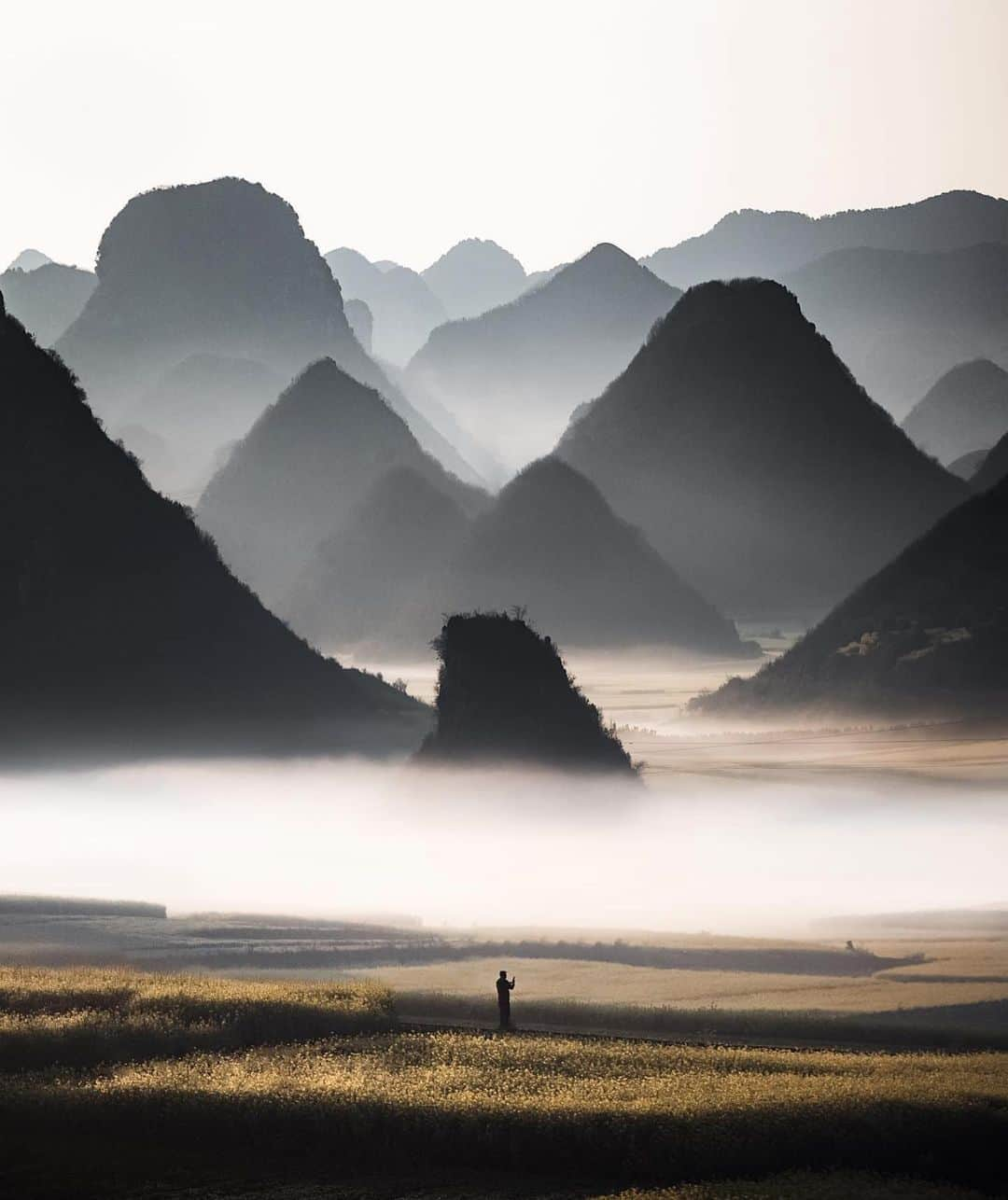 Canon Photographyさんのインスタグラム写真 - (Canon PhotographyInstagram)「Rolling fog in Yunnan, China Photography // @jordhammond  Curated by @henry.nathan  #fog #china #hills #landscapephotography」1月5日 1時53分 - cpcollectives