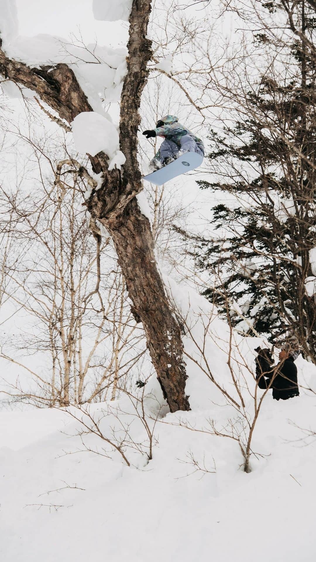 アナログクロージングのインスタグラム：「From convenient cuisine to local wildlife, experience the Japanese backcountry with @redgerard, @brockcrouch, @thekellyclark & @zoisynnott 📍: Hokkaido, Japan Stream One World Via Link In Bio.  @burtonjapan」