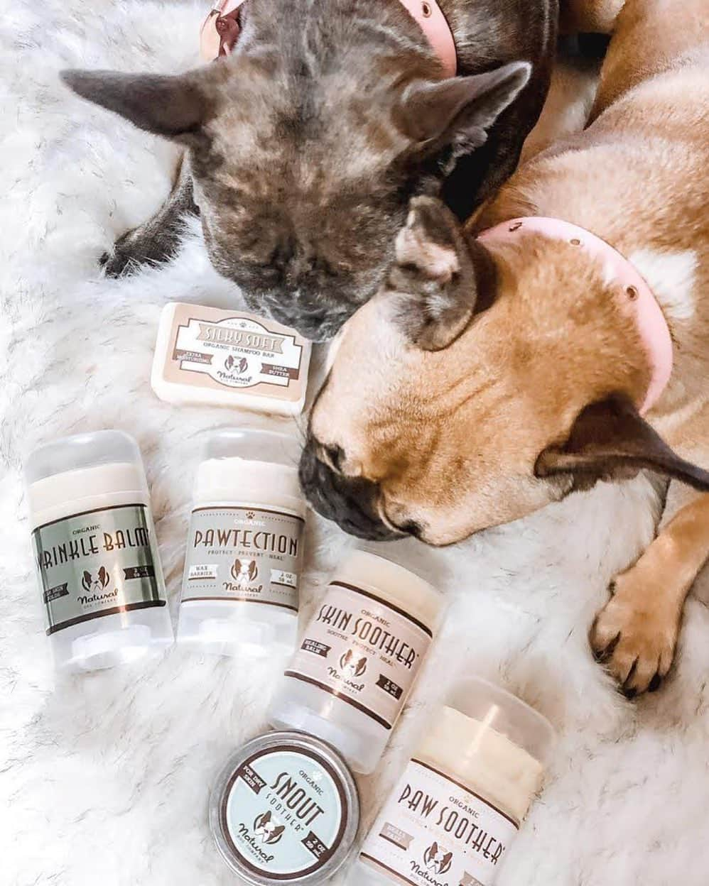 Regeneratti&Oliveira Kennelさんのインスタグラム写真 - (Regeneratti&Oliveira KennelInstagram)「⭐ SAVE 20% off @naturaldogcompany with code JMARCOZ at NaturalDog.com  worldwide shipping  ad 📷: @zoeyandpiper_frenchie • • • If you haven’t tried @naturaldogcompany yet, your dog is missing out. Their all-natural healing balms come recommended by vets all over the world to treat everything from dry noses, chapped paws, and itchy skin. They also have supplements for internal support ❤ . . . . . . #frenchiepetsupply #frenchiesofinsta #pugsofinsta #frenchbulldog #frenchiesofinstagram #pug #frenchies #reversibleharness #frenchiehoodie #thedodo #frenchieharness #dogclothes #dogharness #frenchiegram #dogsbeingbasic #frenchieoftheday #instafrenchie #bulldogs #dogstagram #frenchievideo #cutepetclub #bestwoof #frenchies1 #ruffpost #bostonterrier #bostonsofig #animalonearth #dog」1月5日 3時06分 - jmarcoz