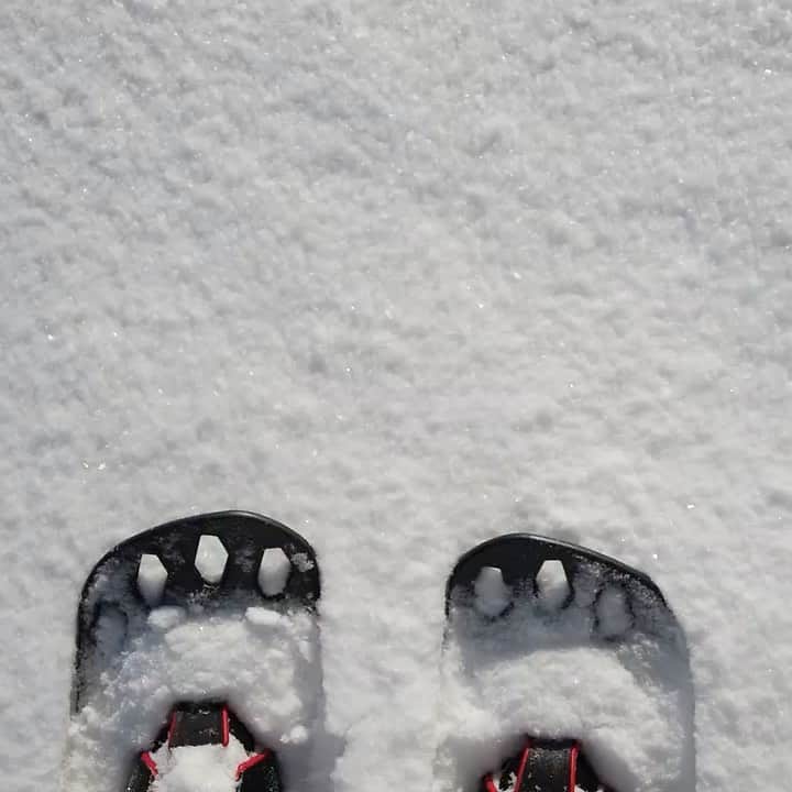 ワイルドシングスのインスタグラム：「Walkin into Monday like...  #overwhites #snowshoeing #multicam #multicamalpine #snowcamo #socom #igmilita #hoarfrost」