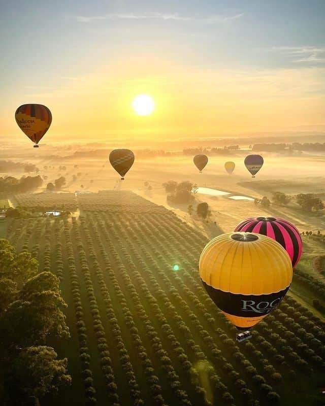 Australiaさんのインスタグラム写真 - (AustraliaInstagram)「Rise and shine, @huntervalley! A sunrise flight with @balloonaloft over the picturesque wine country in @visitnsw is simply spectacular 😍 It’s hard to believe that the stunning #HunterValley region is just two hours from @sydney, meaning it’s quite accessible to visit for the day (however with so much to see and taste, we suggest longer 😉). Be sure to do the rounds of the local vineyards and delicious restaurants like @audreywilkinsonwines and @muserestaurant_ 🍷 and make some time to be pampered at a luxurious day spa, like @chateauelanhuntervalley or @elysiawellnessretreat. #seeaustralia #NewSouthWales #LoveNSW #balloonaloft #holidayherethisyear」1月5日 4時00分 - australia