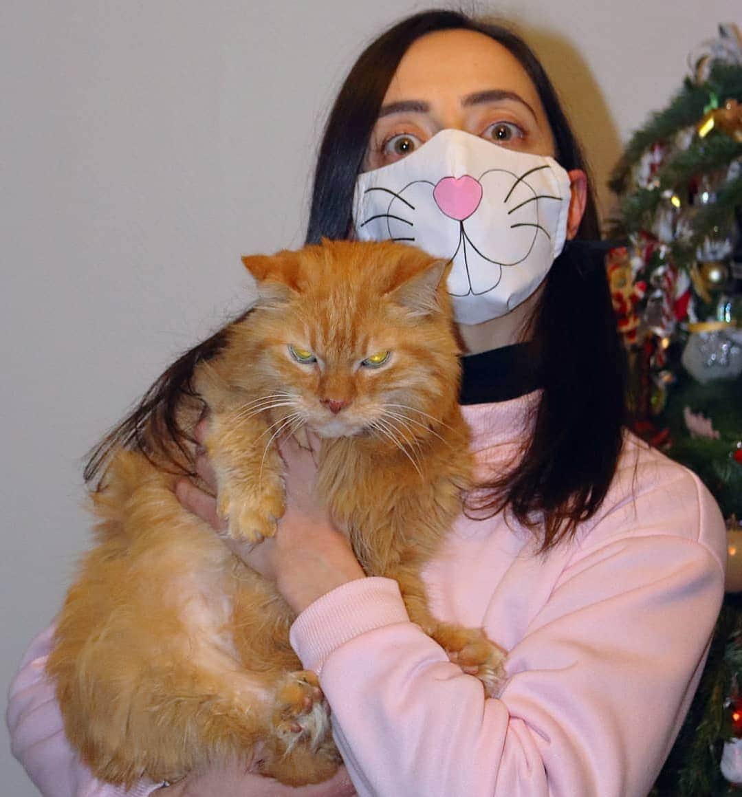 Homer Le Miaou & Nugget La Nugのインスタグラム：「I wanted to share my new masks from Catmas and since Homer is on total monday mood here it was appropriate i guess!lol😾😷🙀 I have plenty but i gotta say that the ones i've received from @tinysmudge are pretty cool! I mean i can be a rabbit now, i'm ready to support South Africa during the next World Cup, i'm all set for next Catmas and i loOove my new calendar! Also, how did you know that i'm a gamer?lol 😋 That first masked #SecretSantaClaws was very cool... I hope we won't need to do it again but it made this pandemichristmas a little bit more fun. Thanks also to everyone who has participated, i hope you had as much fun as us... And don't forget to wear them!lol 😷😉😷 #TheMaskedCatLady」
