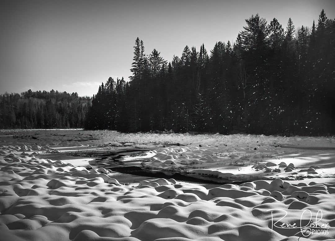 Ricoh Imagingさんのインスタグラム写真 - (Ricoh ImagingInstagram)「Posted @withregram • @renefisher_photography More from my visit to Algonquin Provincial Park... Looking forward to the beauty that Winter has to offer. :) ⁠ ⁠ Taken with Ricoh GR III⁠ .⁠ .⁠ .⁠ .⁠ ⁠ .⁠ .⁠ .⁠ .⁠ #dream_spots #landscapephoto #majestic_earth #discoverglobe #landscapehunter #natgeoyourshot #Canada_PhotoLovers⁠ #beautyofnature #discoverON #marvelous_shots #buck #pentaxian #landscape_love #landscapebeauty #natgeo #YourShotPhotographer #natgeoyourshot #ricohpentax #theglobewanderer #sunset #justgoshoot #insidecanada #wonderful_places #sharecanggeo #GR3 #GRIII⁠ #pentaxian #richohimaging #shootpentax #pentax」1月5日 4時47分 - ricohpentax