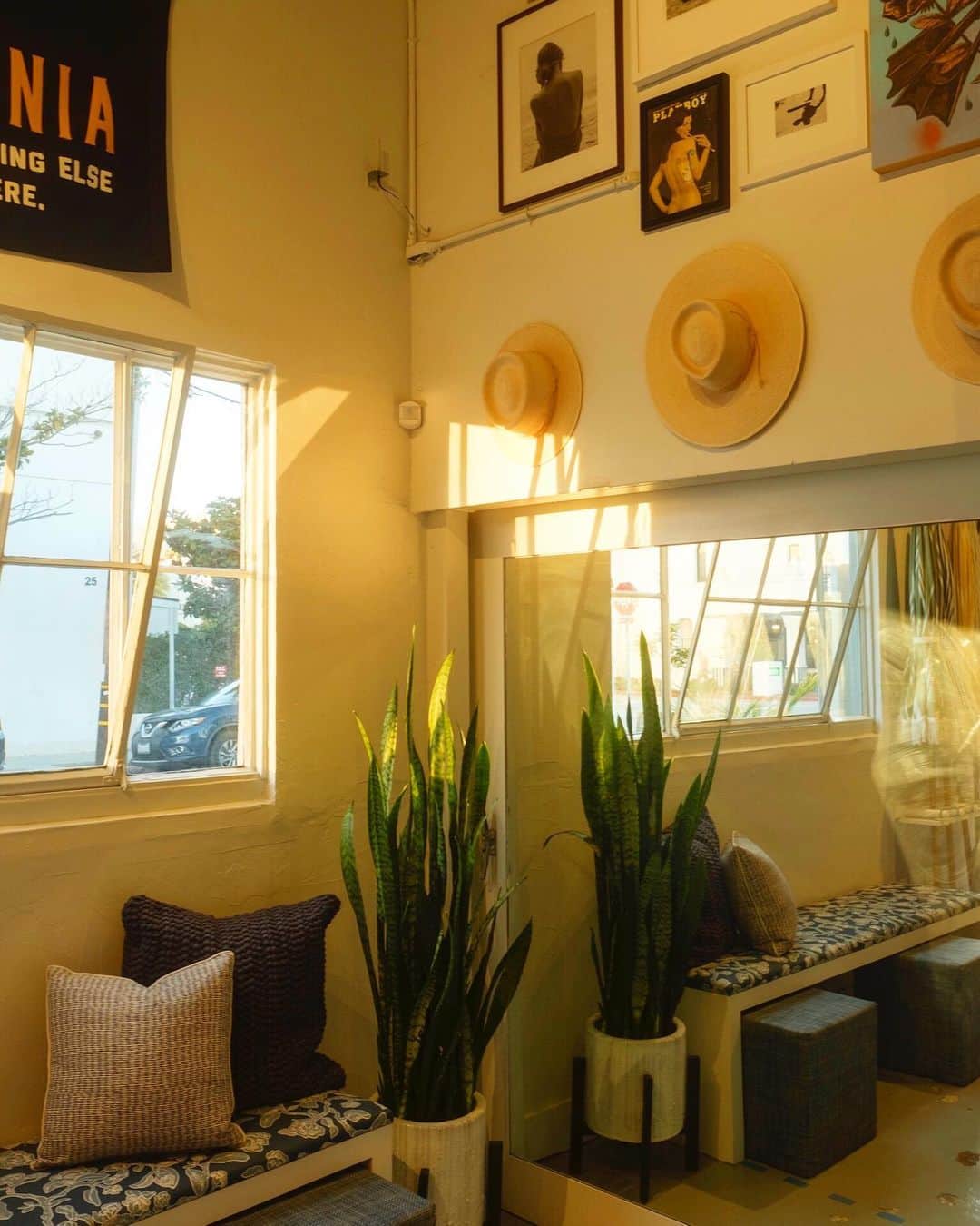 のインスタグラム：「Golden light at the shop. 💫  Our end of season sale is still happening at our flagship location. Come say hey and shop select end of season styles for 50% off.  #24mason」
