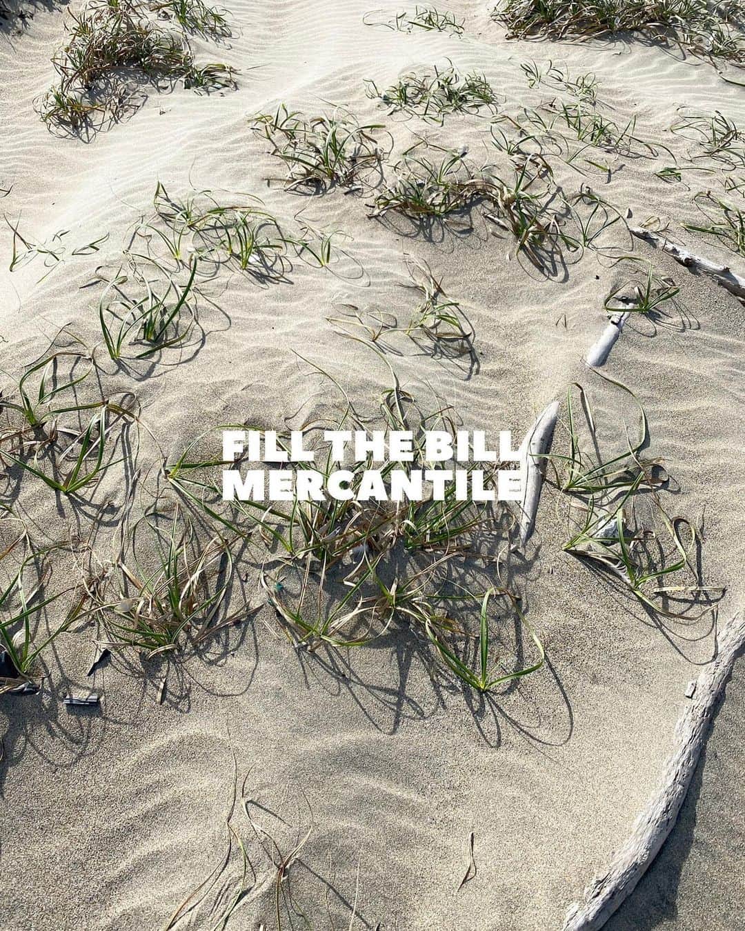 フィル ザ ビルのインスタグラム：「明けましておめでとうございます。 本年もFILL THE BILL MERCANTILEを宜しくお願い致します。  #fillthebill #fillthebill_mercantile #fillthebill_tokyo」