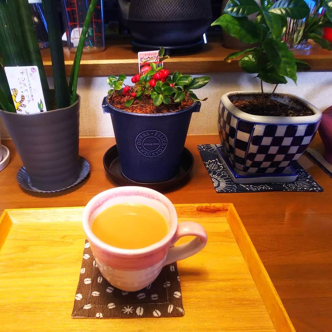みながわゆみさんのインスタグラム写真 - (みながわゆみInstagram)「#コーヒー #coffee #コーヒーカップ #コーヒー好き #コーヒー好きな人と繋がりたい #写真好き #写真好きな人と繋がりたい #コーヒーの木 #ビッグベリー #サンスベリア #南部鉄瓶」1月5日 15時59分 - nama.09.19