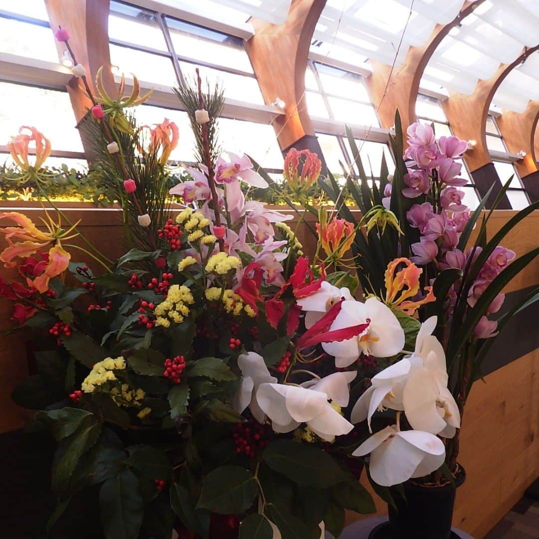 ホテルアンビエント伊豆高原のグルメインスタ