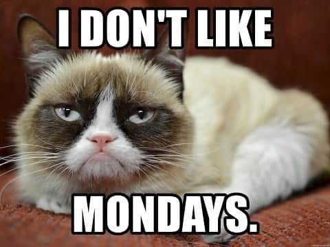 Grumpy Catさんのインスタグラム写真 - (Grumpy CatInstagram)「Only 51 more Mondays until 2022」1月5日 8時25分 - realgrumpycat