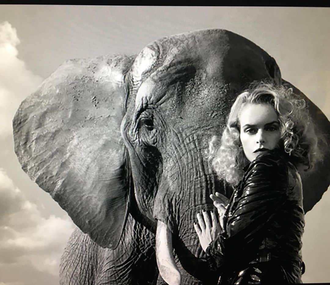 ZOO Magazineのインスタグラム