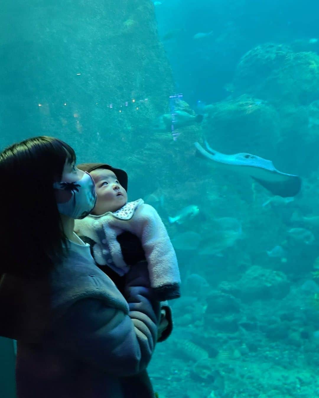 阪本智子さんのインスタグラム写真 - (阪本智子Instagram)「🐟♡ 少し前に家族で#新江ノ島水族館 へ💙 碧くんは初めての水族館でした🐠✨ 「お魚大きいねー」と言ったらうなずく碧くんが可愛すぎた😂💕 ・ そして、過去にウォルトの魚寄せ具合にびっくりしたけど🐶❤️🐟 魚に好かれるのは碧くんにまで遺伝してました🤣 ペンギンさんしばらくあの状態でしたよ👶🏻❤️🐧笑 ＊ #aquarium #enoshima #boybaby #4monthsold #boymama #水族館デート #江ノ島 #江ノ島デート #子連れ #男の子ベビー #生後4ヶ月 #男の子ママ #阪本智子」1月5日 9時37分 - tomoko_sakamoto423