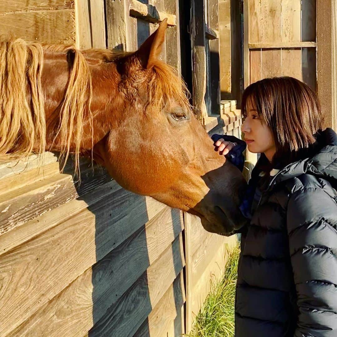 入来茉里さんのインスタグラム写真 - (入来茉里Instagram)「新年早々 馬とふれあい。  #馬 #2021 #馬好き #午年生まれ」1月5日 9時58分 - iriki.mari_official