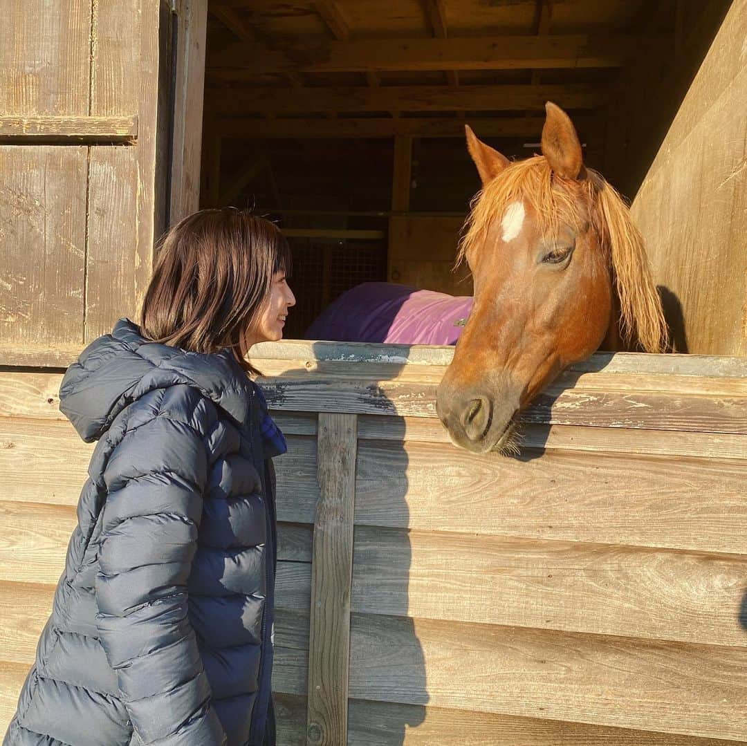 入来茉里さんのインスタグラム写真 - (入来茉里Instagram)「新年早々 馬とふれあい。  #馬 #2021 #馬好き #午年生まれ」1月5日 9時58分 - iriki.mari_official