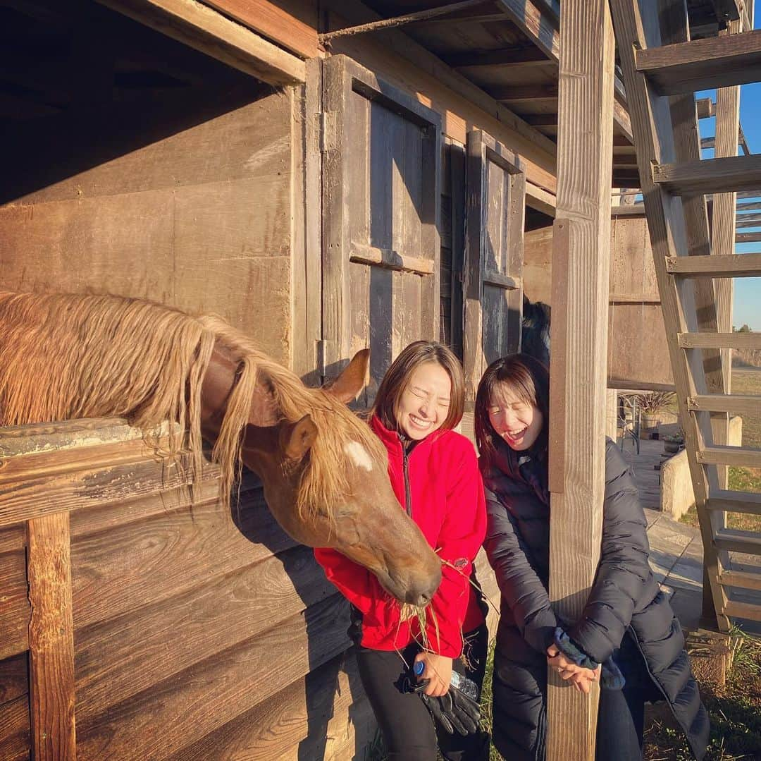 入来茉里さんのインスタグラム写真 - (入来茉里Instagram)「同じホリプロの水崎綾女ちゃんと乗馬へ @misakiayame  海の景色と風の音を感じて 無言になっていた瞬間 とても心地良かった…☺️ 馬の背中から伝わる動きに体を委ねるだけの時間。 ・ 2021年 いい1年にしよう。 あやめちゃんありがと☺️ ・ #乗馬 #乗馬女子 #海 #海岸 #海好き #馬好き #2021 #新年」1月5日 10時46分 - iriki.mari_official